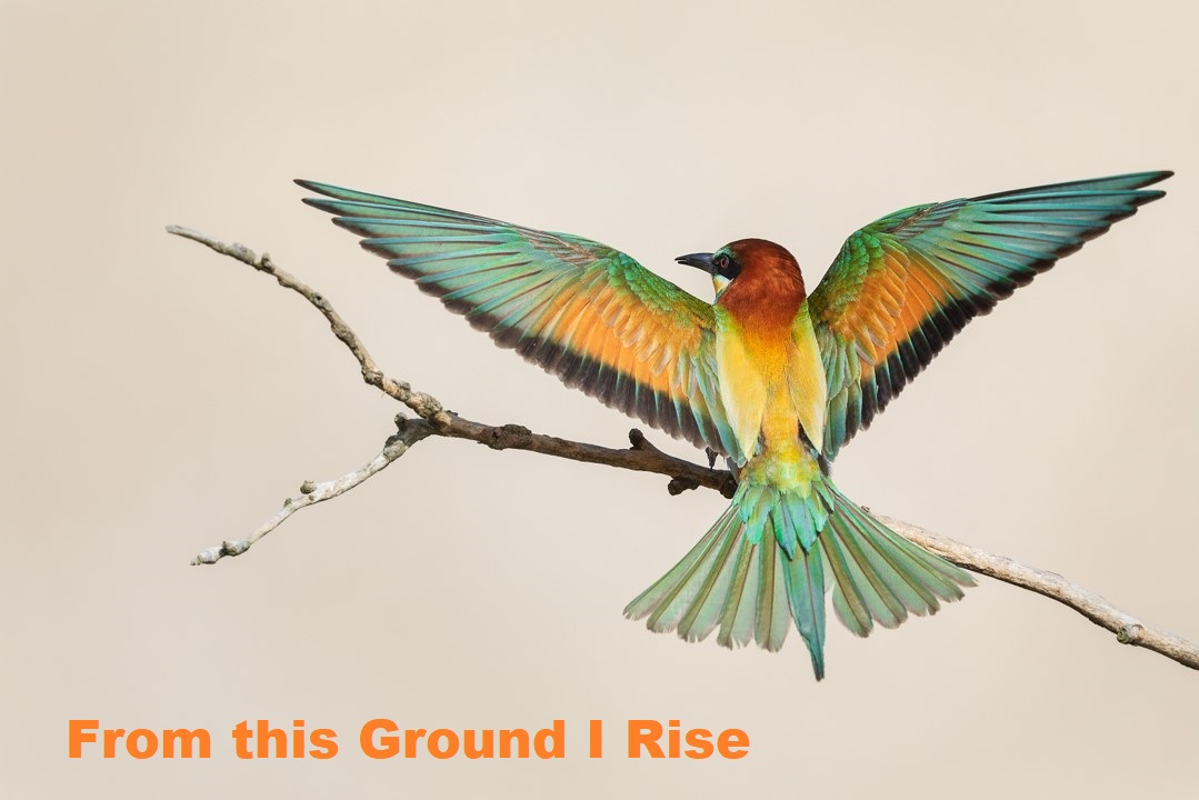 From This Ground I Rise Cover Art