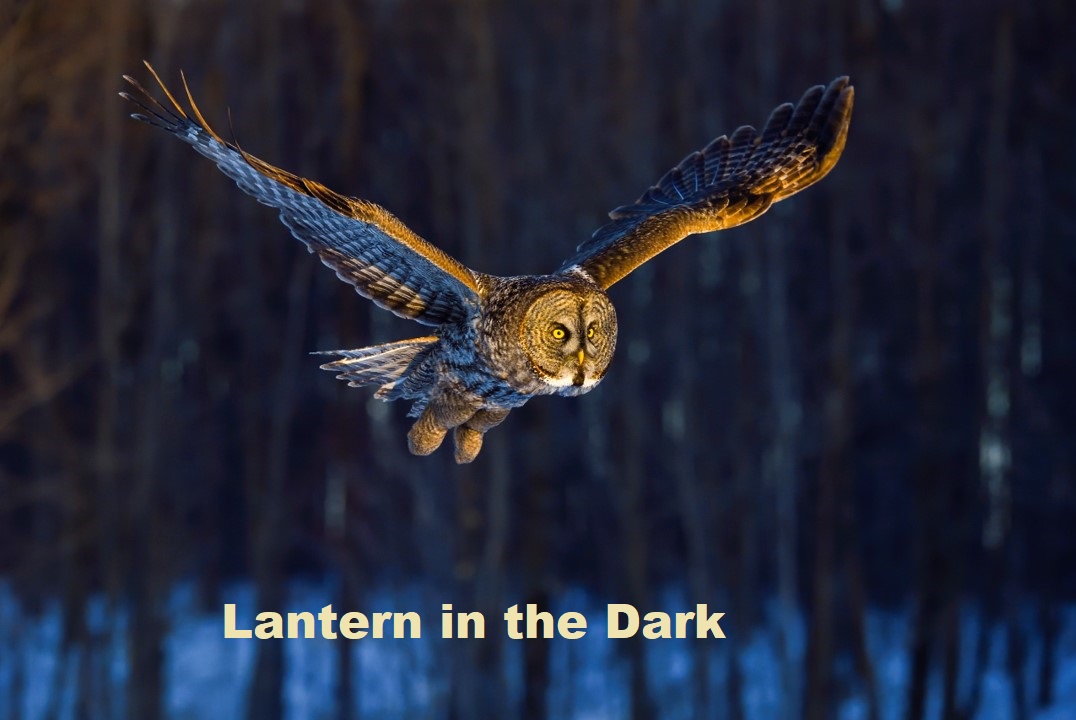 Lantern in the Dark Cover
