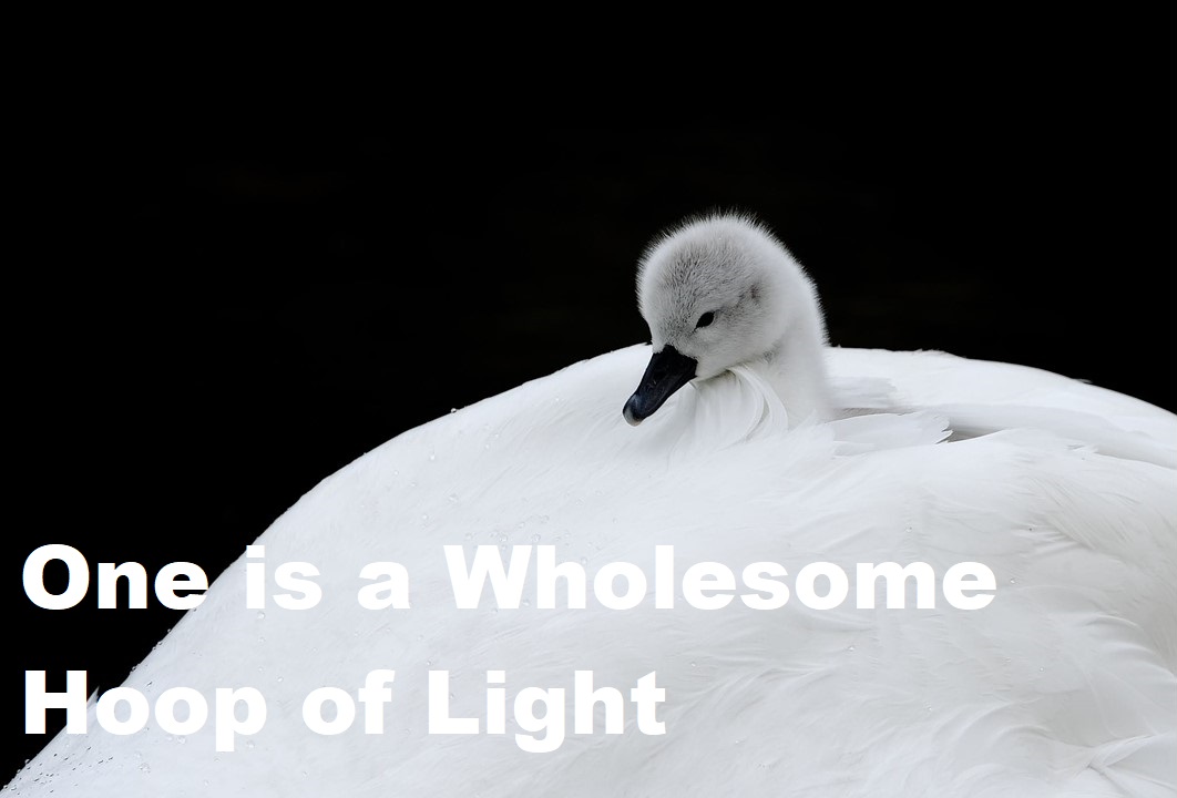 One is a Wholesome Hoop of Light Cover Art - Prismatic light forming a circle