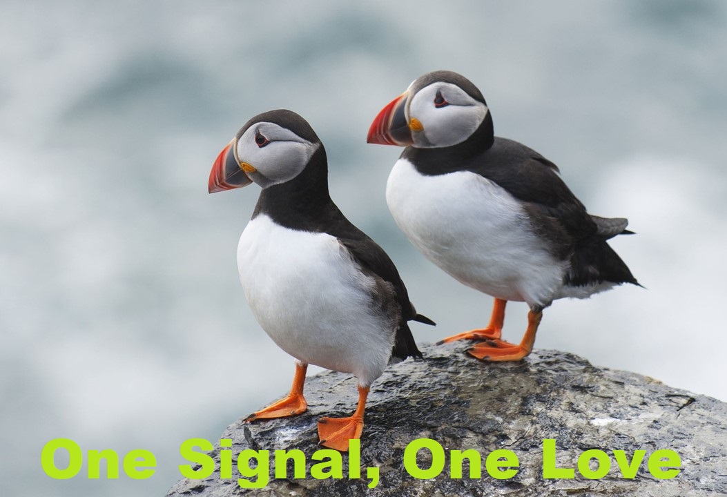 One Signal, One Love Cover Art